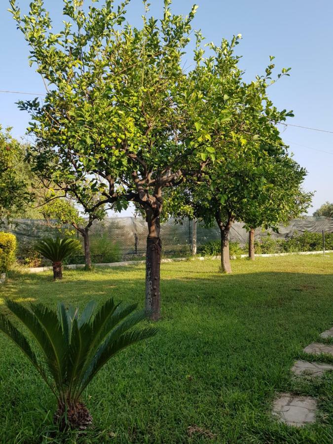 Appartement Casa Vacanza Le Tre Palme à Floridia Extérieur photo